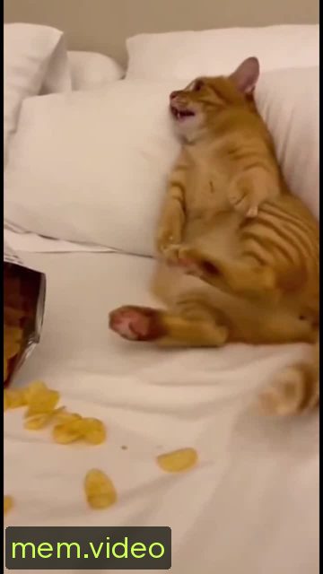 Кадр на 0:02