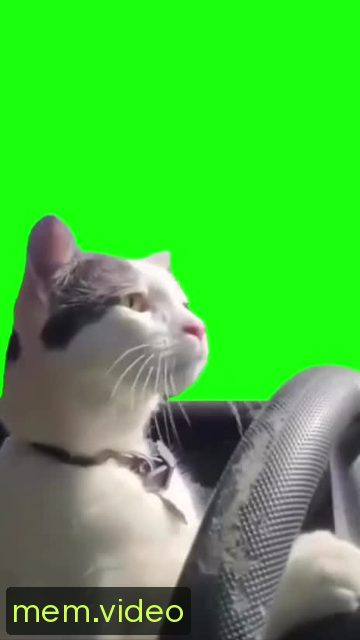 Кадр на 0:00