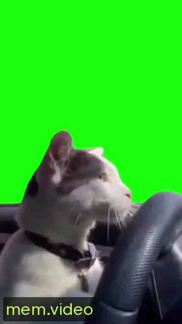Кадр на 0:01
