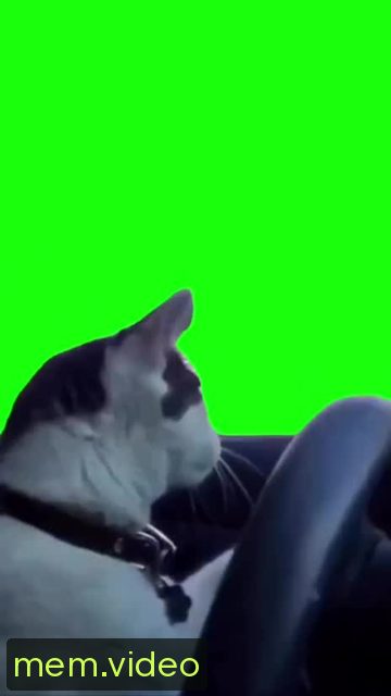 Кадр на 0:02