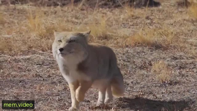 Кадр на 0:01