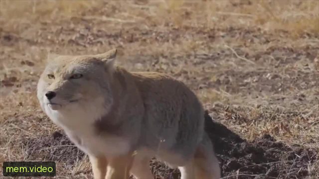 Кадр на 0:05
