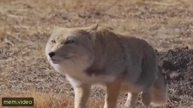 Кадр на 0:05