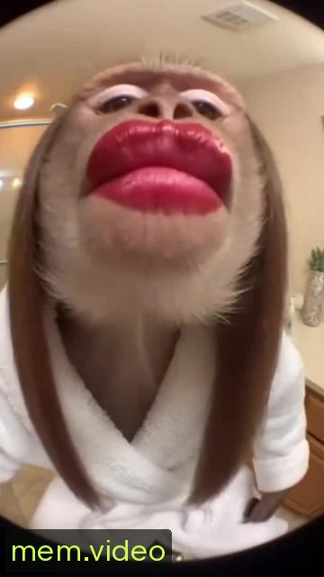Кадр на 0:05