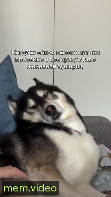 Кадр на 0:00