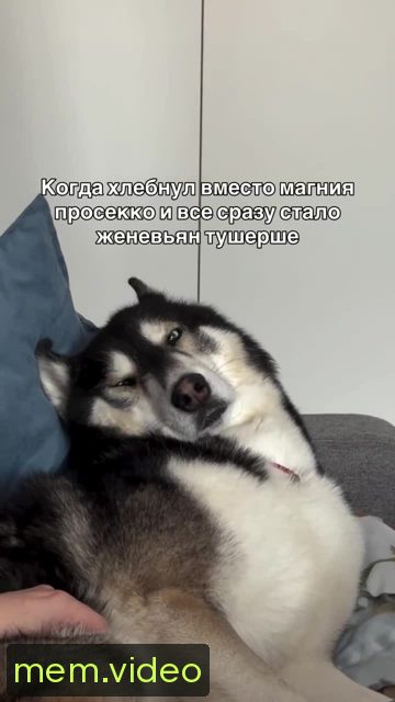 Кадр на 0:01