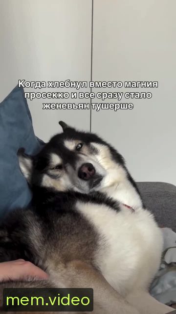 Кадр на 0:02