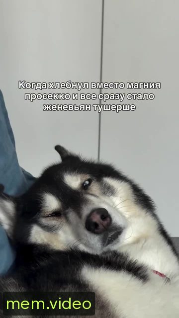 Кадр на 0:03