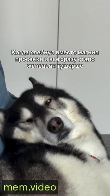 Кадр на 0:05