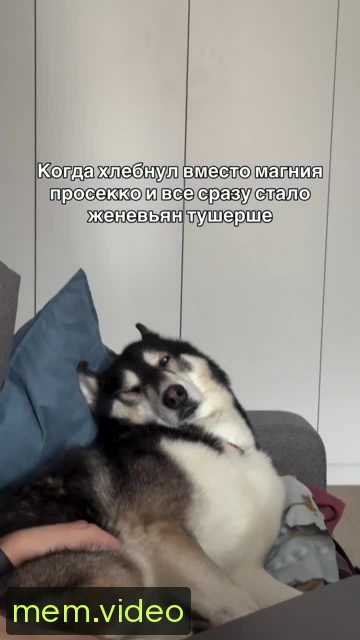 Кадр на 0:06