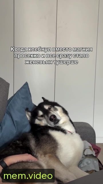 Кадр на 0:08