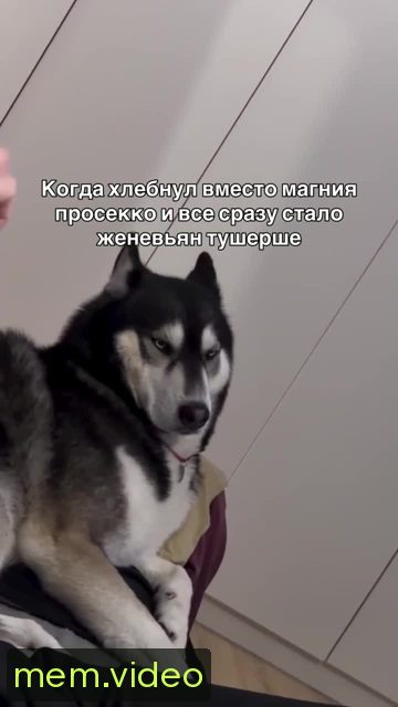 Кадр на 0:09