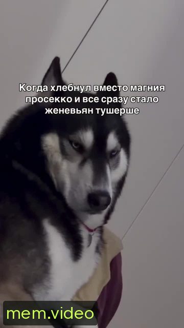 Кадр на 0:11