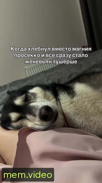 Кадр на 0:12