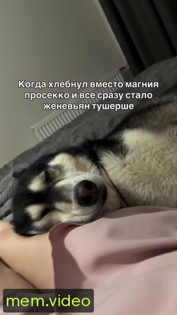 Кадр на 0:13