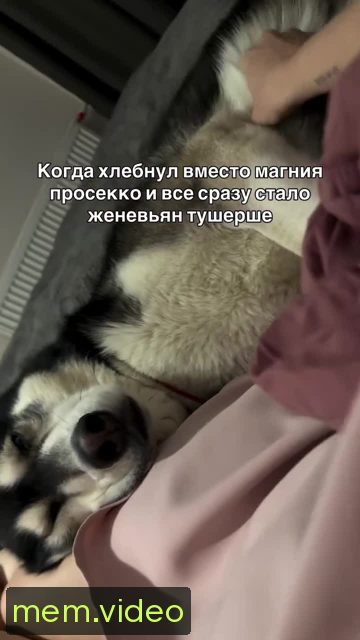 Кадр на 0:15