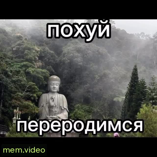 Кадр на 0:08