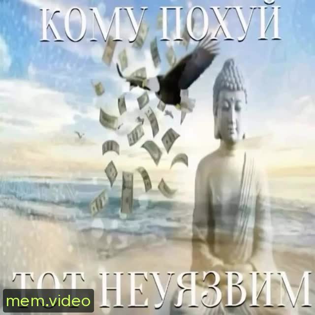 Кадр на 0:12