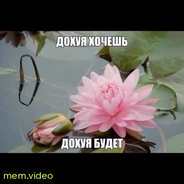 Кадр на 0:13