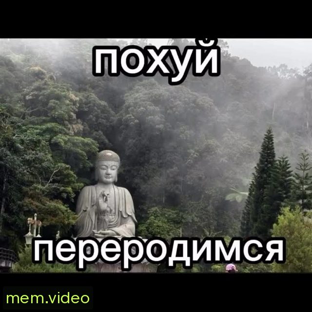 Кадр на 0:08
