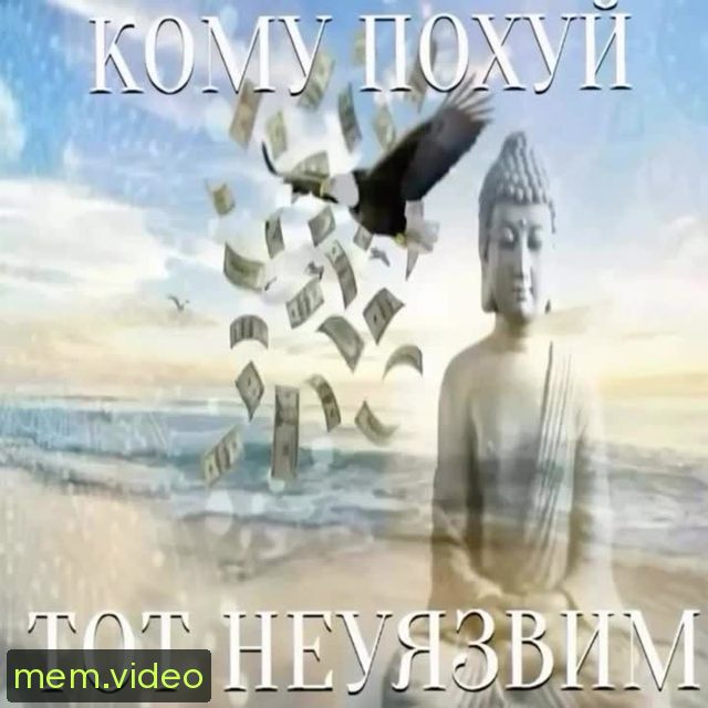 Кадр на 0:11