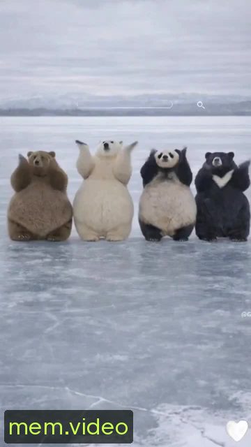 Кадр на 0:00