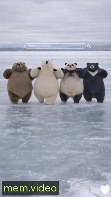 Кадр на 0:00