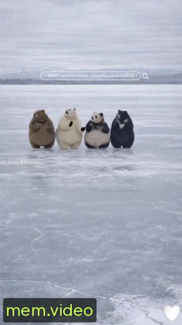 Кадр на 0:05