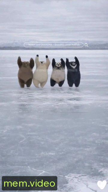 Кадр на 0:06
