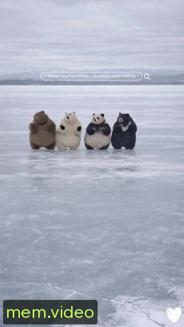 Кадр на 0:06