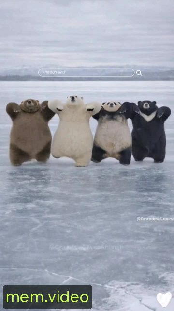 Кадр на 0:00