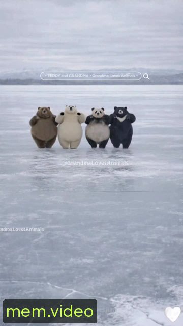 Кадр на 0:04