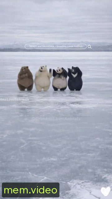 Кадр на 0:05