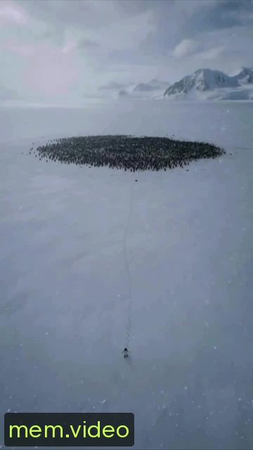 Кадр на 0:04