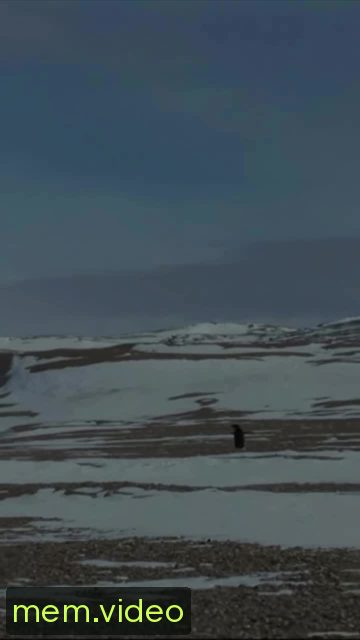 Кадр на 0:25