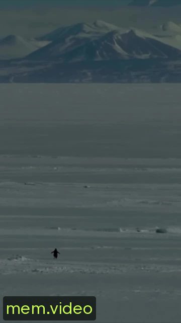 Кадр на 0:28