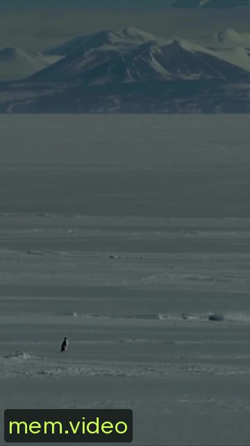 Кадр на 0:34