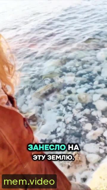 Кадр на 0:09