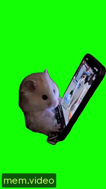 Кадр на 0:01