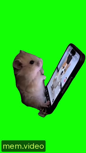 Кадр на 0:05