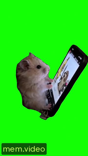 Кадр на 0:08