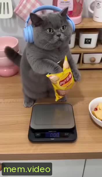 Кадр на 0:00