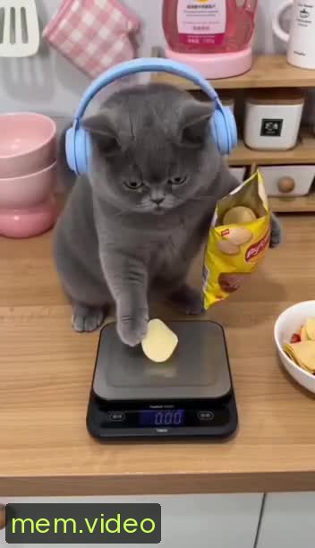 Кадр на 0:00