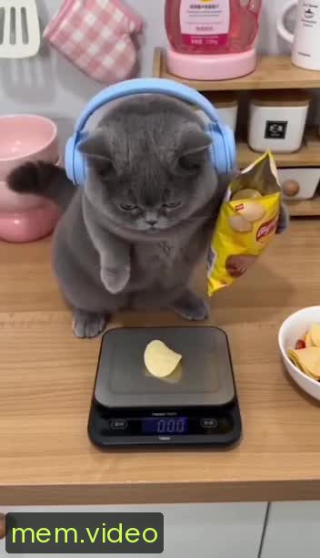 Кадр на 0:01