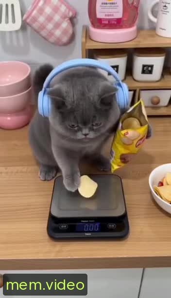 Кадр на 0:03