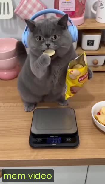Кадр на 0:04