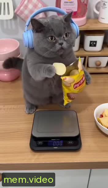 Кадр на 0:06