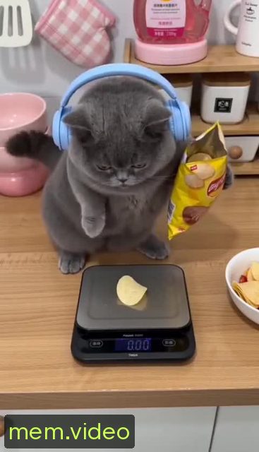 Кадр на 0:01