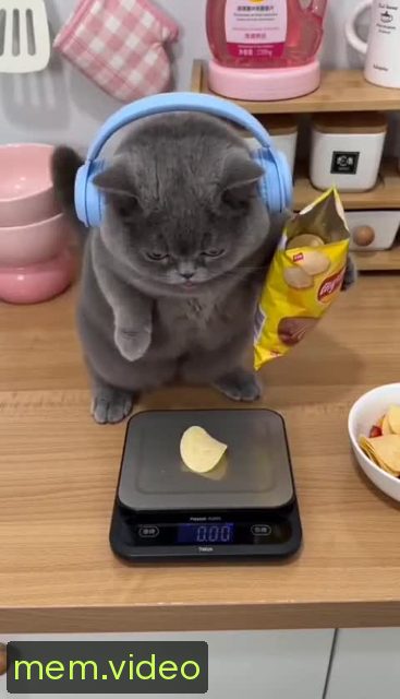Кадр на 0:02