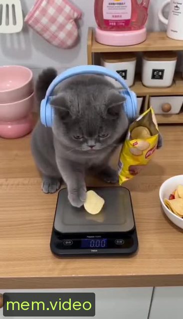 Кадр на 0:03